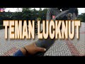 EDISI TEMAN LUCKNUT