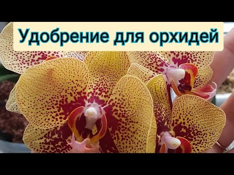 , title : 'Как, когда и чем УДОБРЯТЬ орхидеи,чтобы ПЫШНО цвели и чтобы не НАВРЕДИТЬ?'