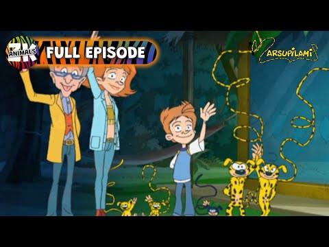 Marsupilami | Season 2, Episode 11 | Saving Felicia!