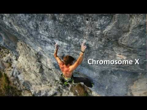 First ascent world record - Pirmin Bertle sending Chromosome X (9a) and Chromosome Y (9a) in 75min!