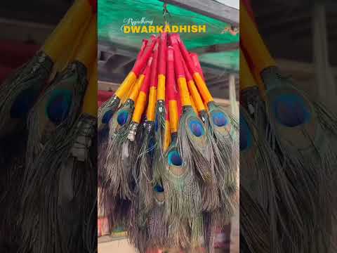 Jay dwarkadhish 🥰 #dwarikanonathmarorajaranchodche