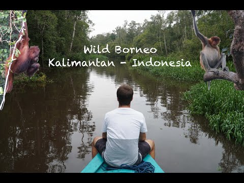 Wild Borneo - experience the culture of the Dayak and observe Orang-Utans in their natural habitat