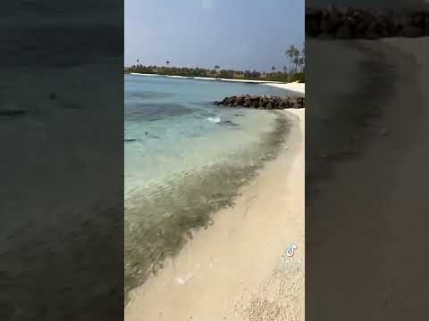 beautiful beach #fishing #seabeach #fannyvideo