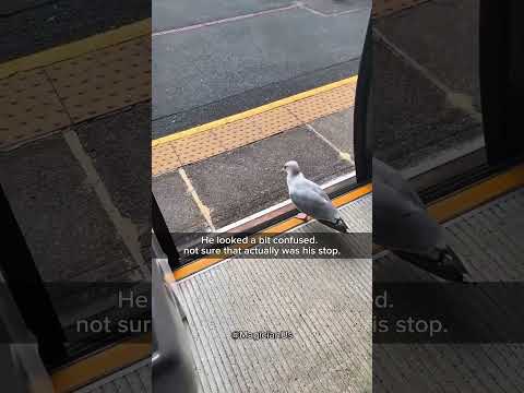 Bro said nah this ain’t my stop #short