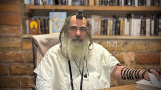 הרב שלום סבג✨מי זה הצדיק ?-י׳׳ב בטבת ה׳תשפ״ו דן בן יעקב 🇮🇱  (הרב שלום סבג) - התמונה מוצגת ישירות מתוך אתר האינטרנט יוטיוב. זכויות היוצרים בתמונה שייכות ליוצרה. קישור קרדיט למקור התוכן נמצא בתוך דף הסרטון