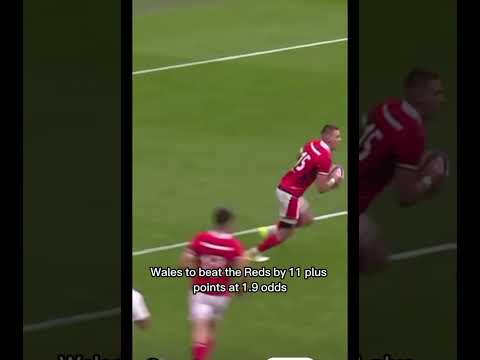 Betting Strategies for the Rugby World Cup Know Your Game