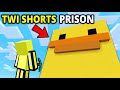 I ESCAPED The IMPOSSIBLE Twi Shorts Prison.. (Minecraft)