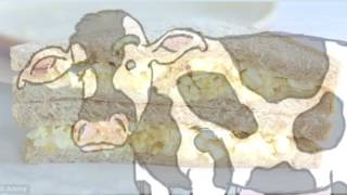 The Green Eyebrowed Cow written and performed By Adam &#39;The Gardener&#39; Grace