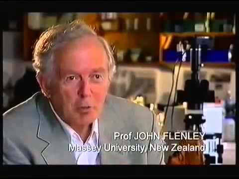 The Mystery of Easter Island Amazing Ancient History Documentary