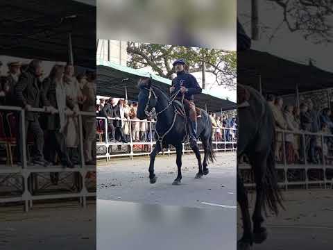 PARTE 1 DESFILE DE CABALLERÍA  262 AÑOS NATALICIO DE JOSÉ GERVASIO ARTIGAS