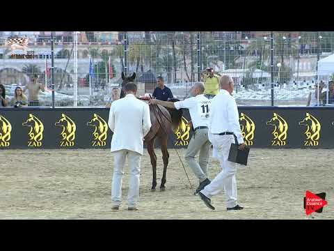 N.114 B FAWAZ - Menton 2019