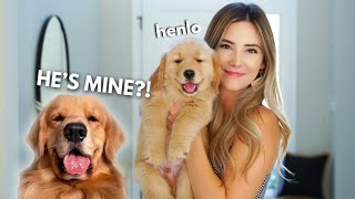 My Dog Becomes a Father | Part 1