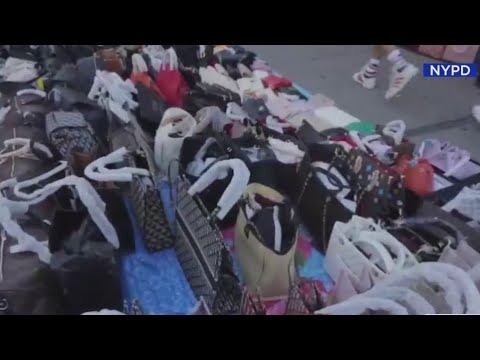 NYPD seizes $35M in counterfeit goods on Canal Street