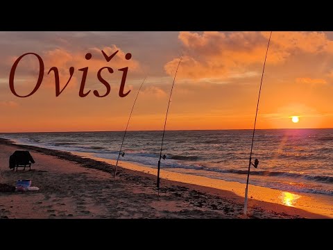 Slieka Reņģe Garnele Uz ko labāk ņem Butes.... Vairāk nekā 70 zivis krastā!