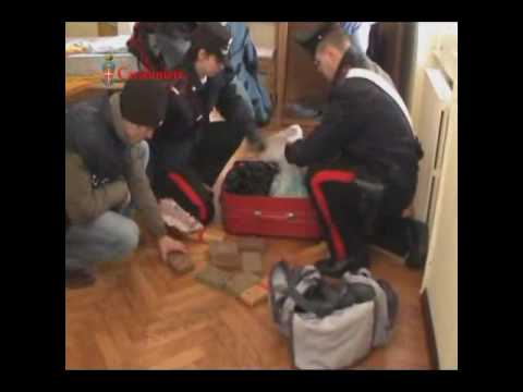 'Ndrangheta Operazione il crimine - Nord Italia