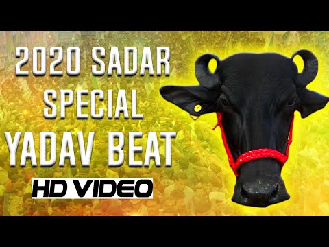 SADAR SPECIAL YADAV BEAT 2020
