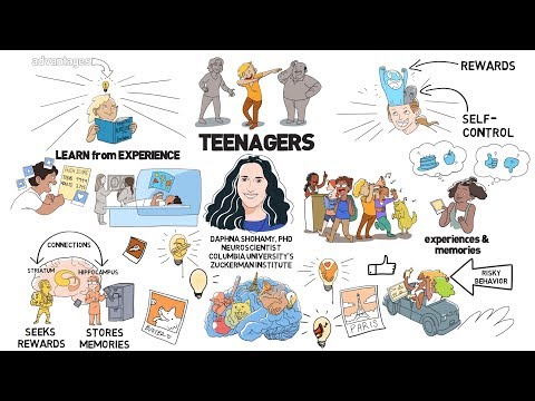 Teenage Brains: Wired to Learn