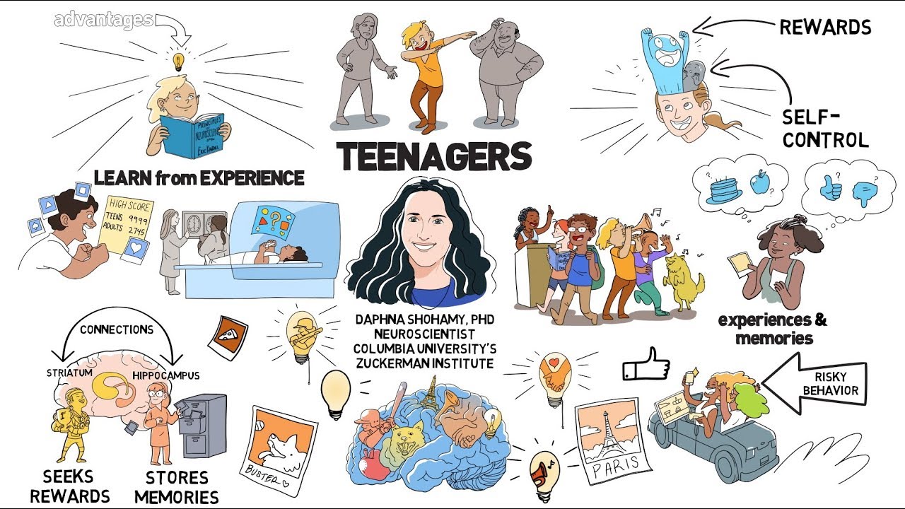 Teenage Brains: Wired to Learn