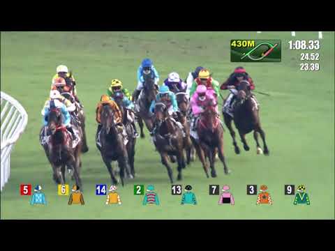 16/5/2021 (678) Beauty Fit-  Z Purton