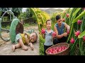CEO Trieu Duong Dan Putra Sulungnya Memanen Buah Naga Merah Yang Matang Trieu An Tinggal Bersama