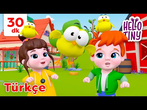 Hayvan Sesleri Şarkısı 🐥🫏 | Bebekler için şarkılar | Hello Tiny Türkçe