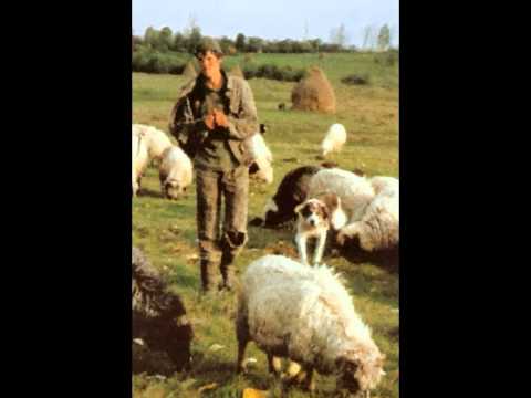 Video thumbnail for Herdboy’s Song