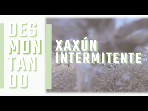 Vídeo: Xaxún intermitente: unha dieta con beneficios e riscos aínda incertos