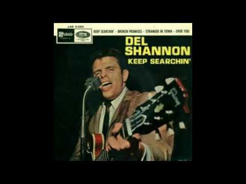 65 02 20 16 06 Del Shannon   Keep searchin'