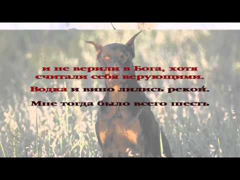 Вечерние рассказы для детей. История 052