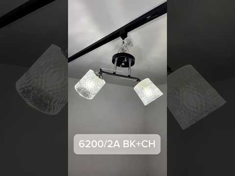 Миниатюра изображения товара Потолочный светильник Aitin-Pro НПБ 02-2x40-101 / 6200/2A (черный/хром)
