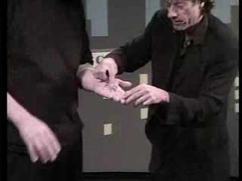 Salt and Pepper by D’Lite Products