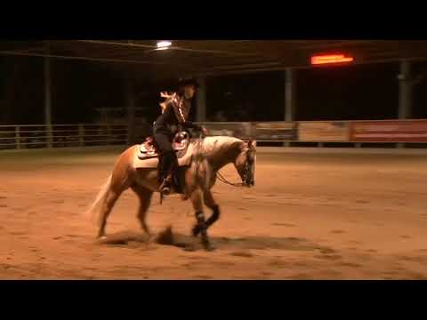 SHINING WHIZ OLENA & Alicja Kula --- Open Futurity Go 4y --- ARHA Futurity Aug 2017