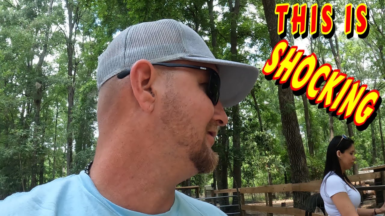 EVERYONE WAS SHOCKED THIS HAPPENED tiny house, homesteading, off-grid cabin build DIY HOWTO, tractor