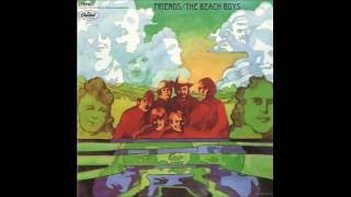 The Beach Boys - Anna Lee the Healer cover