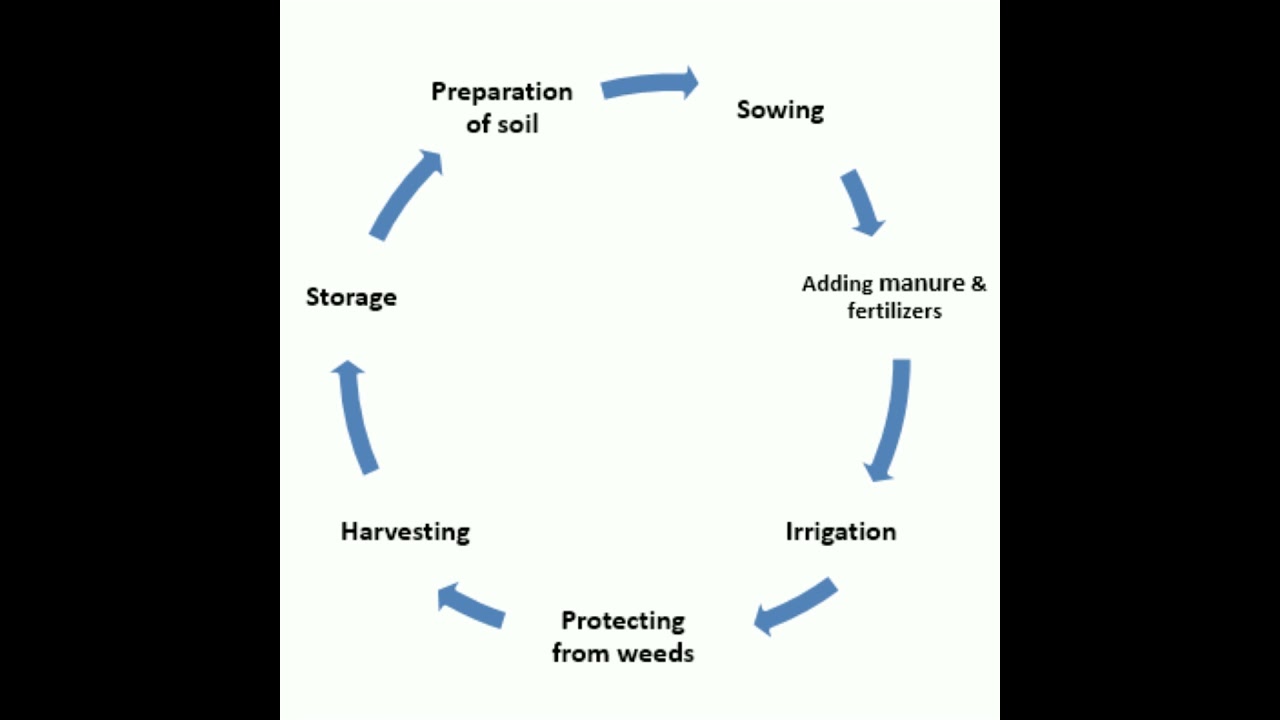Agricultural practices || What are the 7 types of agricultural practices