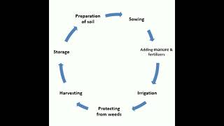 Agricultural practices || What are the 7 types of agricultural practices