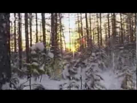 Šťastní to lidé - rok v tajze ( dokument )   A Year in the Taiga