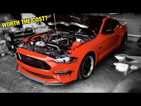 2018-2021 Mustang GT Return Fuel System- Lethal Performance Division X