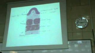 Dr Gehan Urinary 2 " Ureter , Urinary bladder & Urethra "