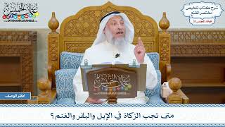 1832 - متى تجب الزكاة في الإبل والبقر والغنم؟ - عثمان الخميس