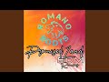 Promised Land (EDM REMIX)