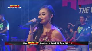 Download lagu MAHA CINTA, NORMA PAEJAH, Om ADELLA // PUTRA SONDONG LIGHTING // Live Kaliori, Rembang mp3 Download lagu MAHA CINTA, NORMA PAEJAH, Om ADELLA // PUTRA SONDONG LIGHTING // Live Kaliori, Rembang mp3