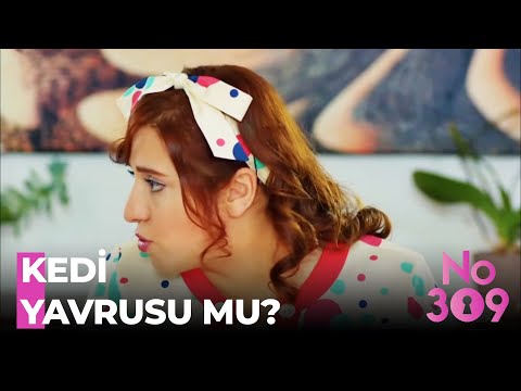 Erol'un Bebeklere Kedi Yavrusu Muamelesi - No:309