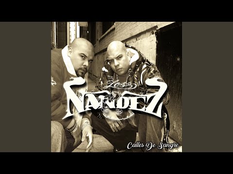 Lecciones de la Vida