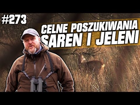 Darz Bór odc 273 - Celne poszukiwania saren i jeleni.