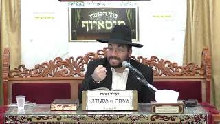 הרב מיכאל רביע | פרשת משפטים | מוסאיוף