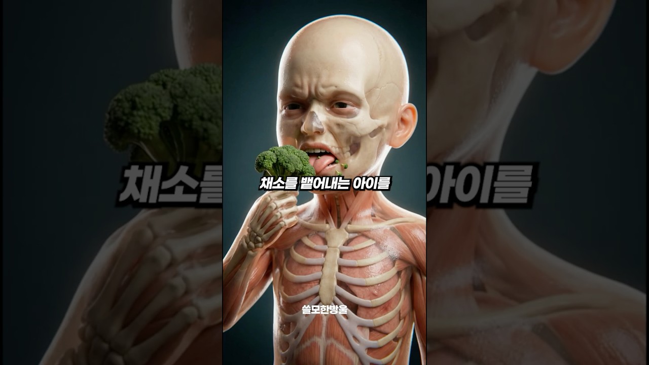 아이가 채소를 먹지 않는다면