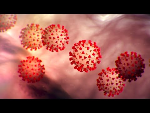Coronavirus Forum Video