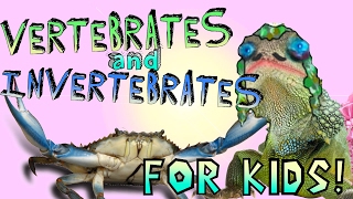 Learning About Vertebrates and Invertebrates