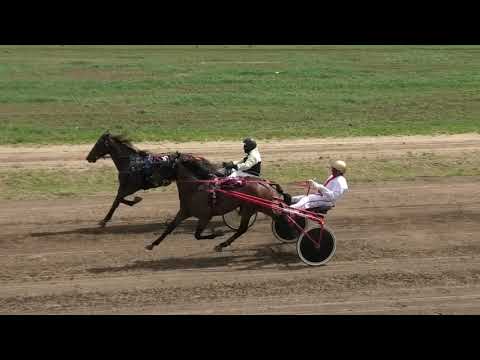 Trka "Konjički klub Lozovik" 02.05.2021 Ninna - Miloš Kovačević